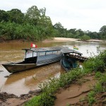 urwald_peru_05