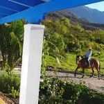 chile-lodge-pferde5