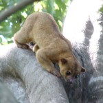 nicaragua