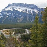 Rockies