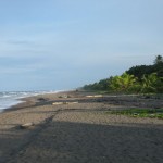 Tortuguero Tortuguero