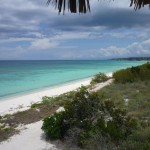 Bahia de las Agulias III