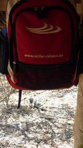 Miller Rucksack mit Leguan Laguna de Oviedo