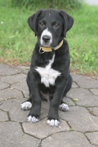 diego mai 2012