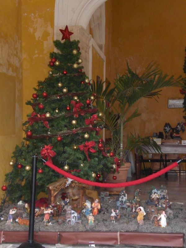 Grosster Weihnachtsbaum Der Welt Lateinamerika Blog