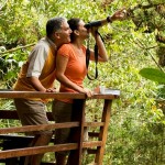 Panama_Birdwatching