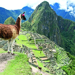 Baustelle Machu Picchu im Frühjahr 2016