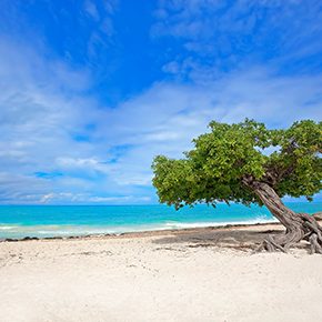 Ausgezeichnet: Strände & Hotels auf Aruba