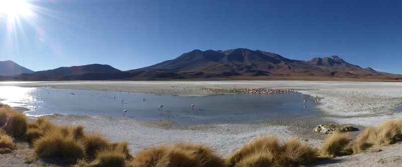 "Auf dem Bild sieht man die Laguna Hedionda, südlich von Uyuni. Es zeigt für mich die Essenz Boliviens: atemberaubende Natur, hohe Berge und malerische Flamingo-Lagune."