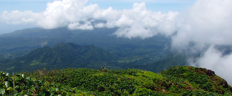 Der Morne Trois Piton Nationalpark auf Dominica