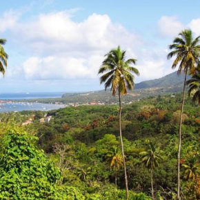 Naturinsel Dominica