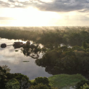 Brasiliens Regenwald retten