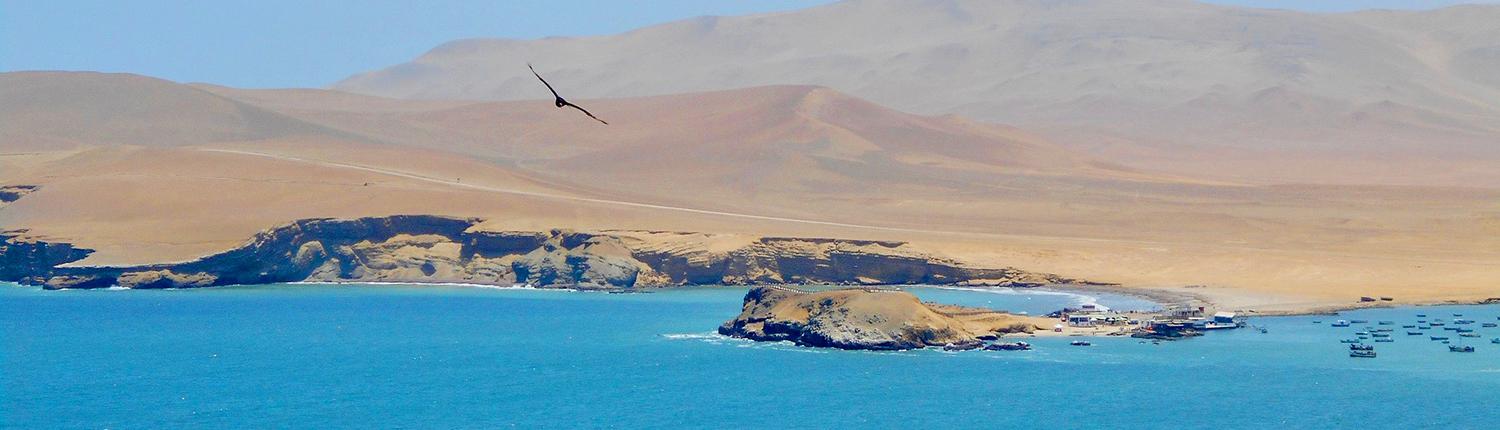 Das Paracas Nationalreservat von Peru