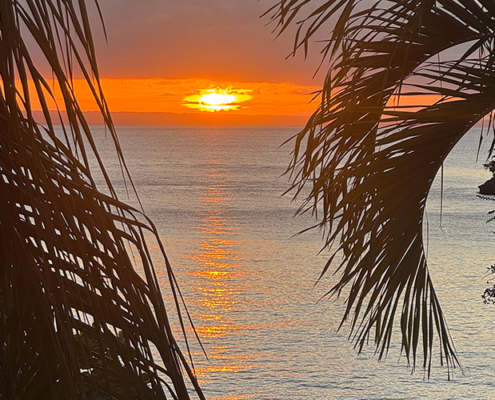 Sonnenuntergang hinter dem Meer, im Vordergrund sind Palmen zu sehen