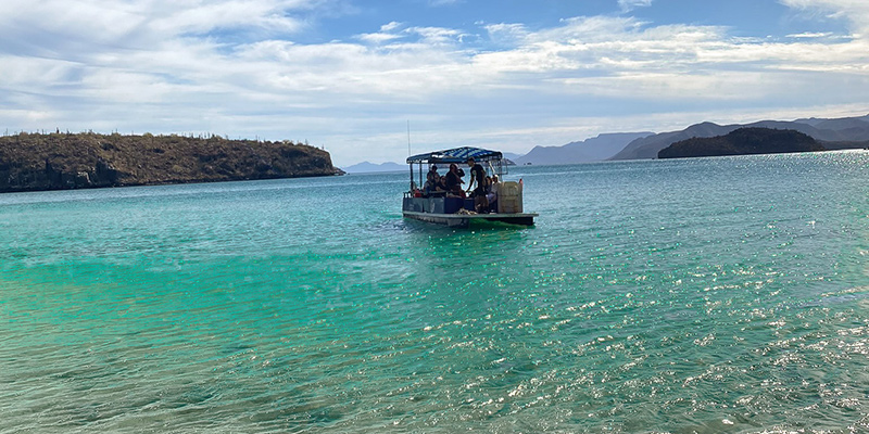 Die Bahía Concepción – ein Boot ist inmitten türkisem Wasser