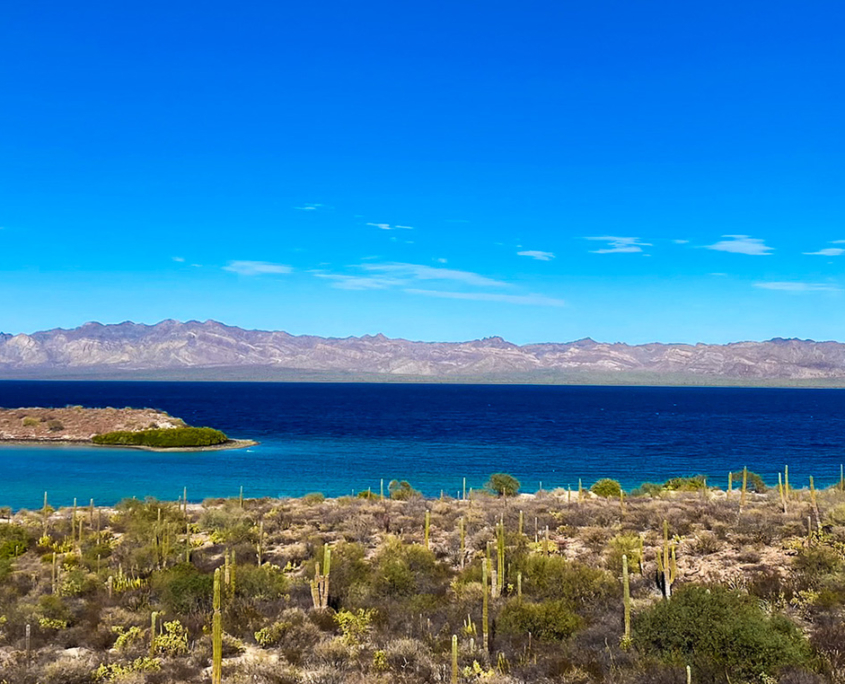 Panoramaaufnahme von einer Bucht auf Baja California Sur