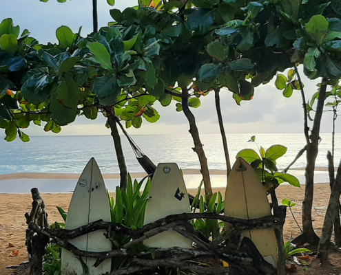 Surfboards aufgestellt an einem Strand