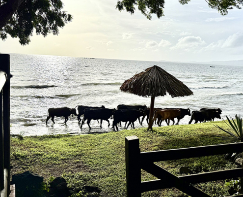 2025-costa-rica-manuela-img07