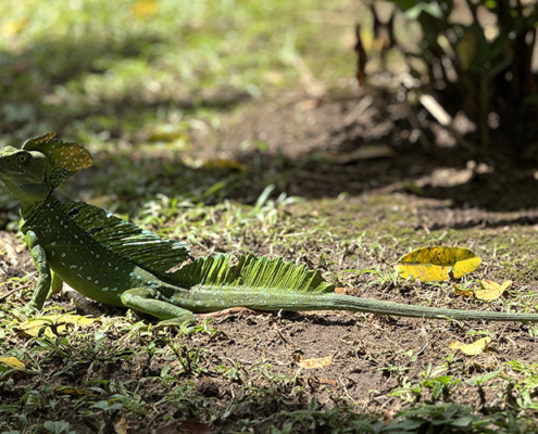 2025-costa-rica-manuela-img17