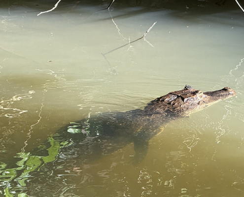 2025-costa-rica-manuela-img20