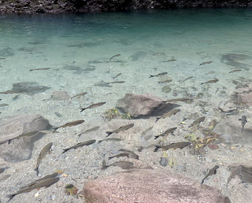 2025-costa-rica-manuela-img31