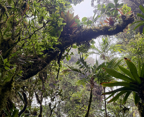 2025-costa-rica-manuela-img32