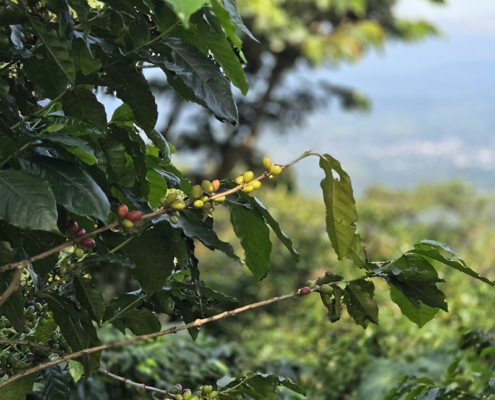 reisebericht-el-salvador-galerie-img11