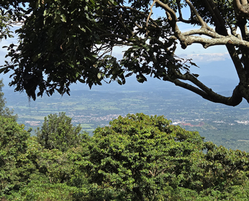 reisebericht-el-salvador-galerie-img12