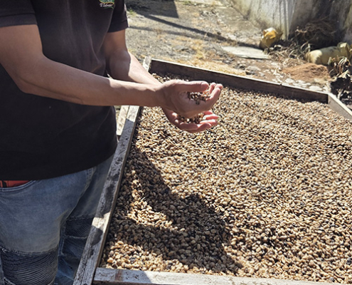 reisebericht-el-salvador-galerie-img25