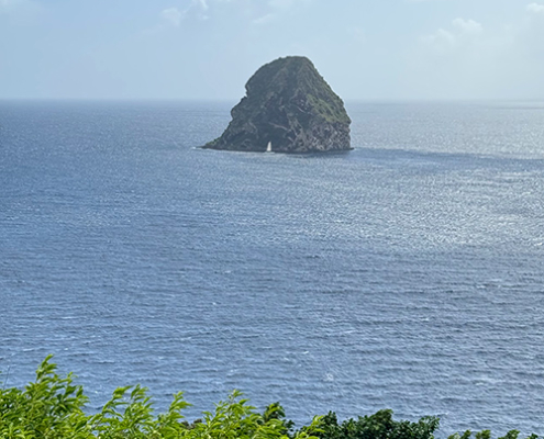 202605-martinique-img05