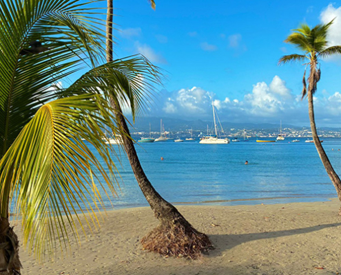 202605-martinique-img19