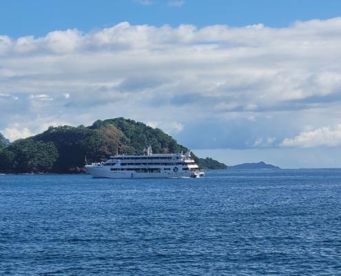 Blue Lagoon Cruise (3)