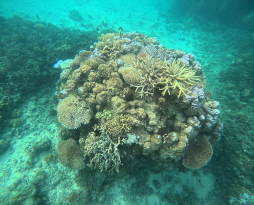 DCIM100GOPROGOPR2402.JPG