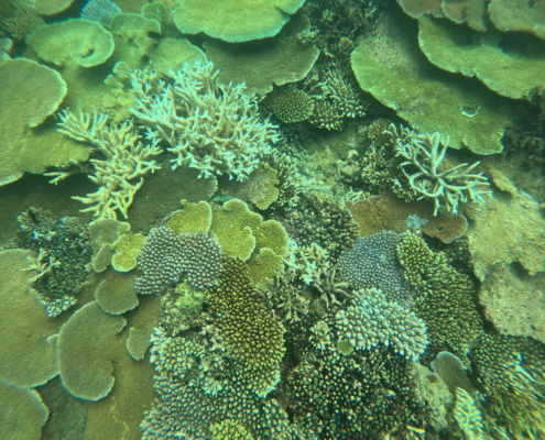 DCIM100GOPROGOPR2313.JPG